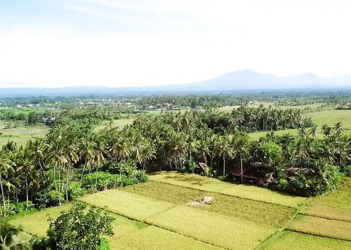 Villa Coconut Corner - Ocean View Treehouse *