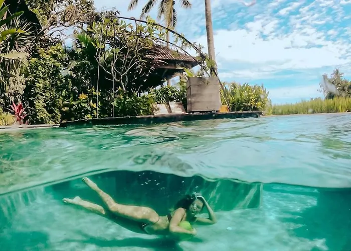 Coconut Corner - Ocean View Treehouse