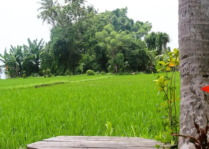 Villa Coconut Corner - Ocean View Treehouse