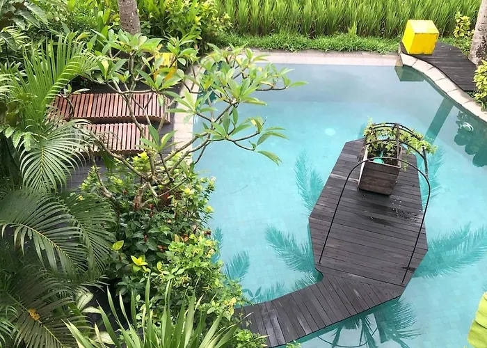 Coconut Corner - Ocean View Treehouse