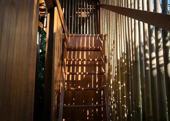 Coconut Corner - Ocean View Treehouse Villa