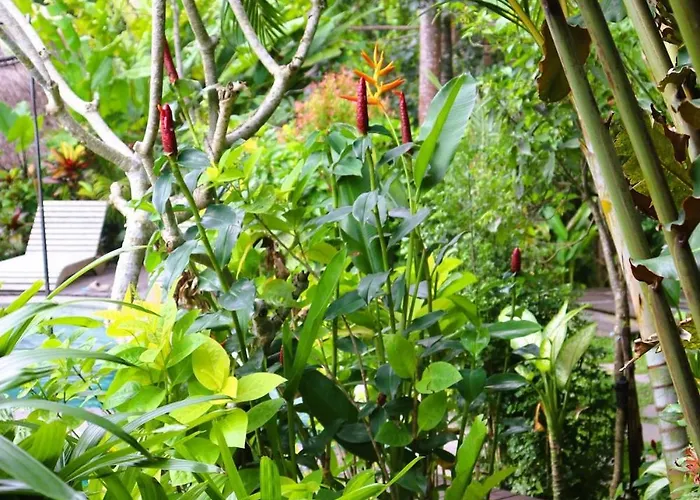 Villa Coconut Corner - Ocean View Treehouse Tanah Lot