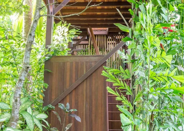 Coconut Corner - Ocean View Treehouse