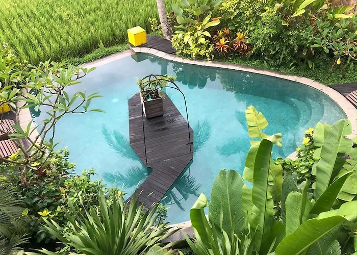 Coconut Corner - Ocean View Treehouse